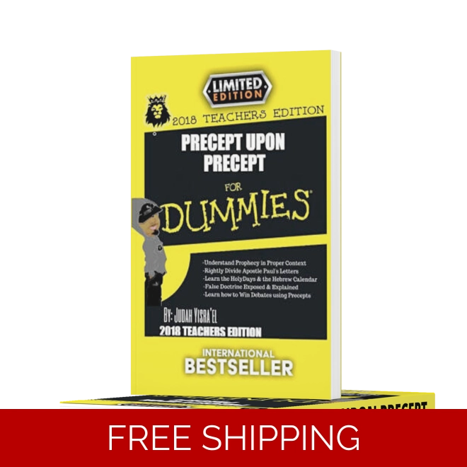 product Image for Precept upon Precept Book